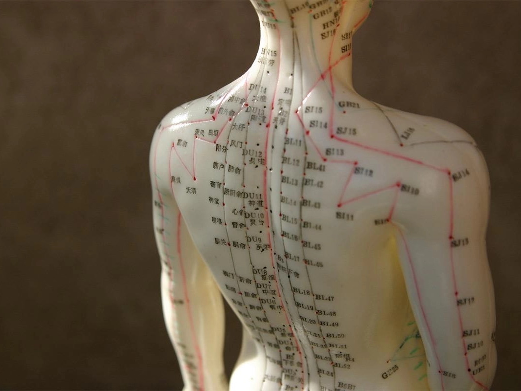 Inkontinence a akupunktura: Kde se nachází akupunkturní body?