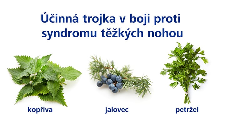 Kopřiva, petržel a jalovec pro přírodní odvodnění organismu